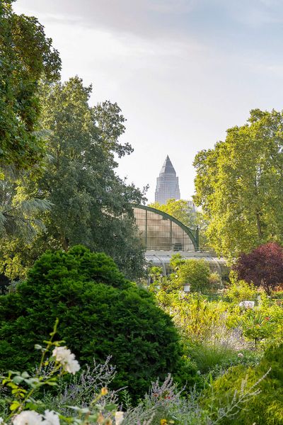 View of lush vegetation in Frankfurt's Palmengarten, with a glass house and the skyline in the background, surrounded by green trees.