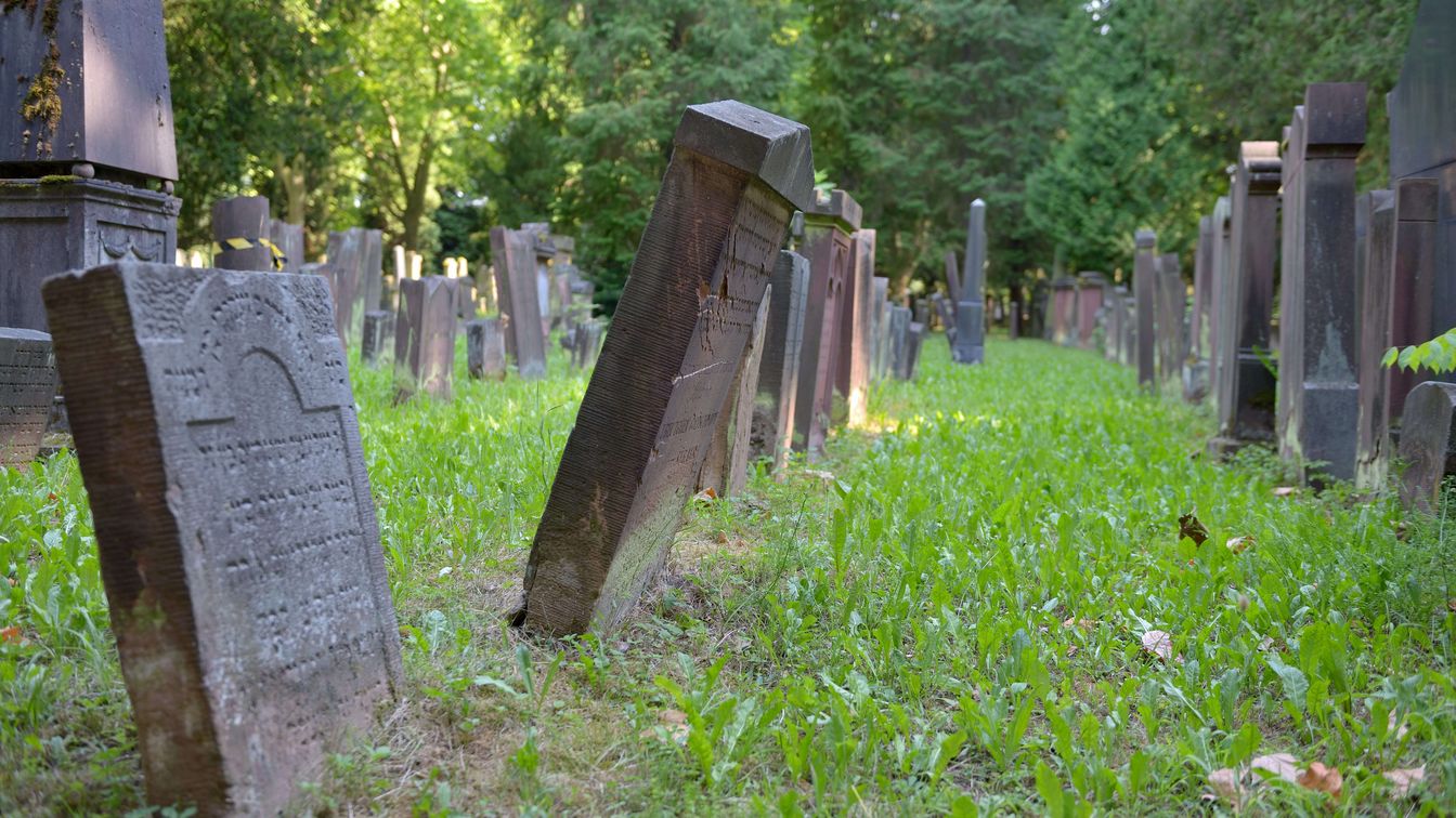 Old gravestones in a Jewish cemetery, partially leaning, surrounded by green grass and trees in the background.