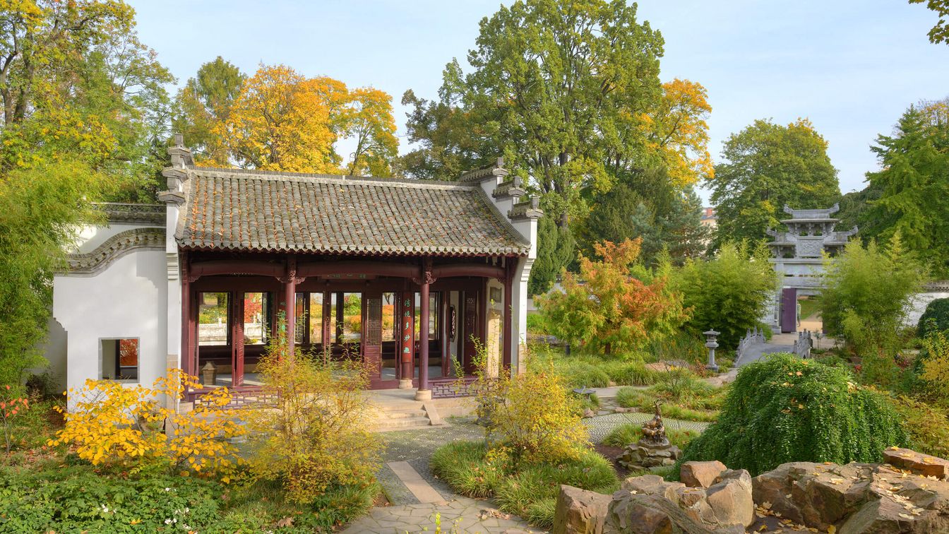 Ein chinesischer Pavillion im Bethmannpark umgeben von Herbstlaub.