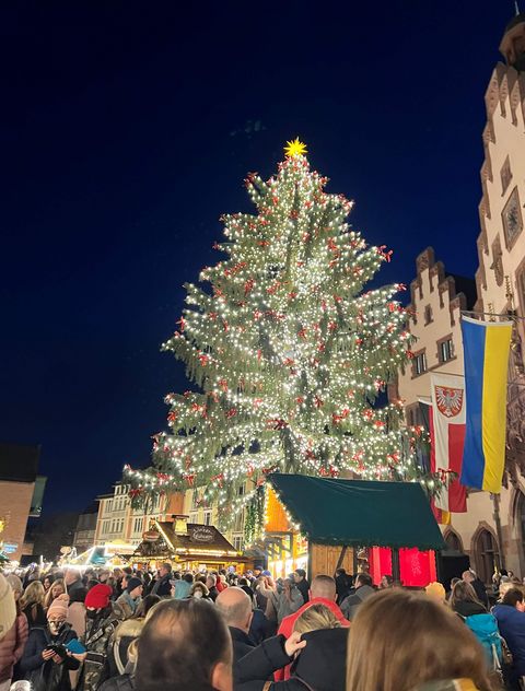 Beleuchteter Weihnachtsbaum auf dem Frankfurter Weihnachtsmarkt 2022. Im Hintergrund ist die historische Kulisse des Römers und im Vordergrund geschmückte Marktstände. Das Bild zeigt eine festliche Atmosphäre in der Abenddämmerung. 