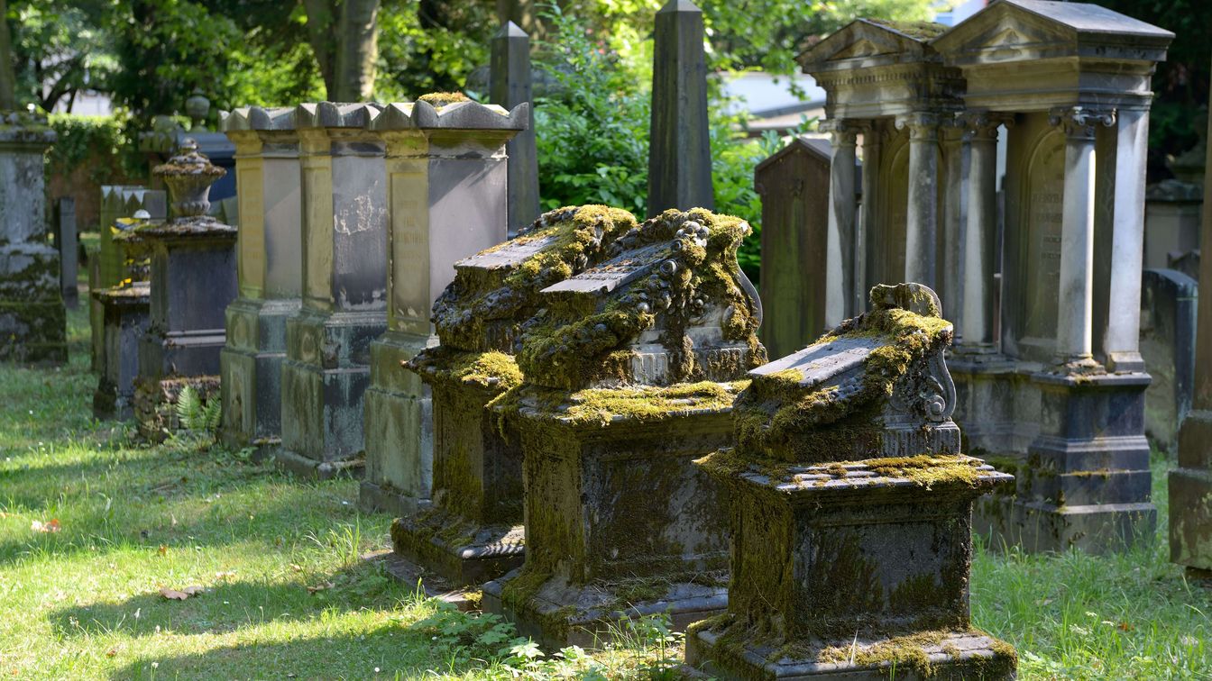 Old, moss-covered gravestones and monuments in a Jewish cemetery, surrounded by lush greenery and trees.