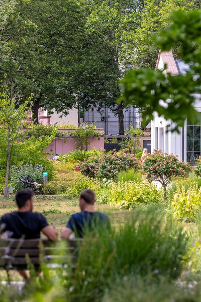 An idyllic view of Bethmannpark in Frankfurt, with lush vegetation, benches and walking paths. People enjoy the green surroundings.