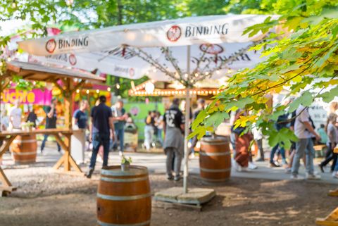 A parasol and beer barrels as tables at a drinks stand under a tree. 