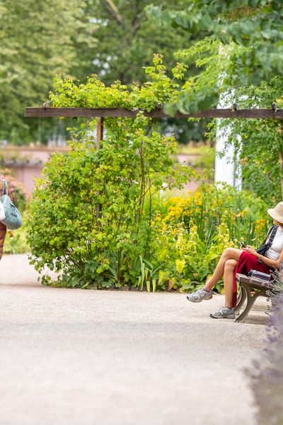 A picturesque scene in Bethmannpark with a small white building complex and well-tended gardens surrounded by summer blooming nature.