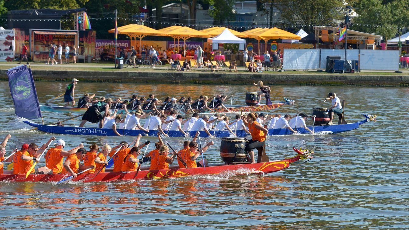 Teams in Drachenbooten paddeln auf dem Main während eines Rennens, Zuschauer*innen und bunte Festzelte im Hintergrund.