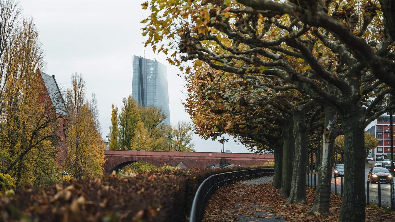 Blick auf die EZB entlang einer herbstlich gefärbten Platanenallee.