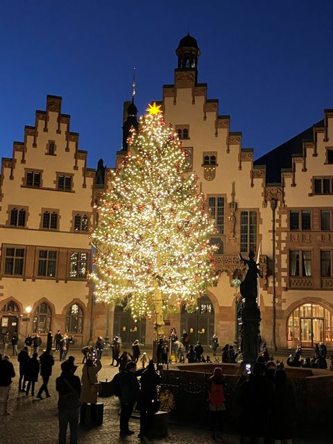 Beleuchteter Weihnachtsbaum auf dem Frankfurter Weihnachtsmarkt 2020 vor der historischen Kulisse des Römers und vielen Menschen davor. Das Bild zeigt eine festliche Atmosphäre am Abend. . 