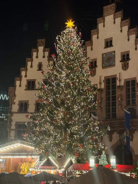 Beleuchteter Weihnachtsbaum auf dem Frankfurter Weihnachtsmarkt 2024 vor der historischen Kulisse des Römers, mit geschmückten Marktständen. Das Bild zeigt eine festliche Atmosphäre am Abend. 